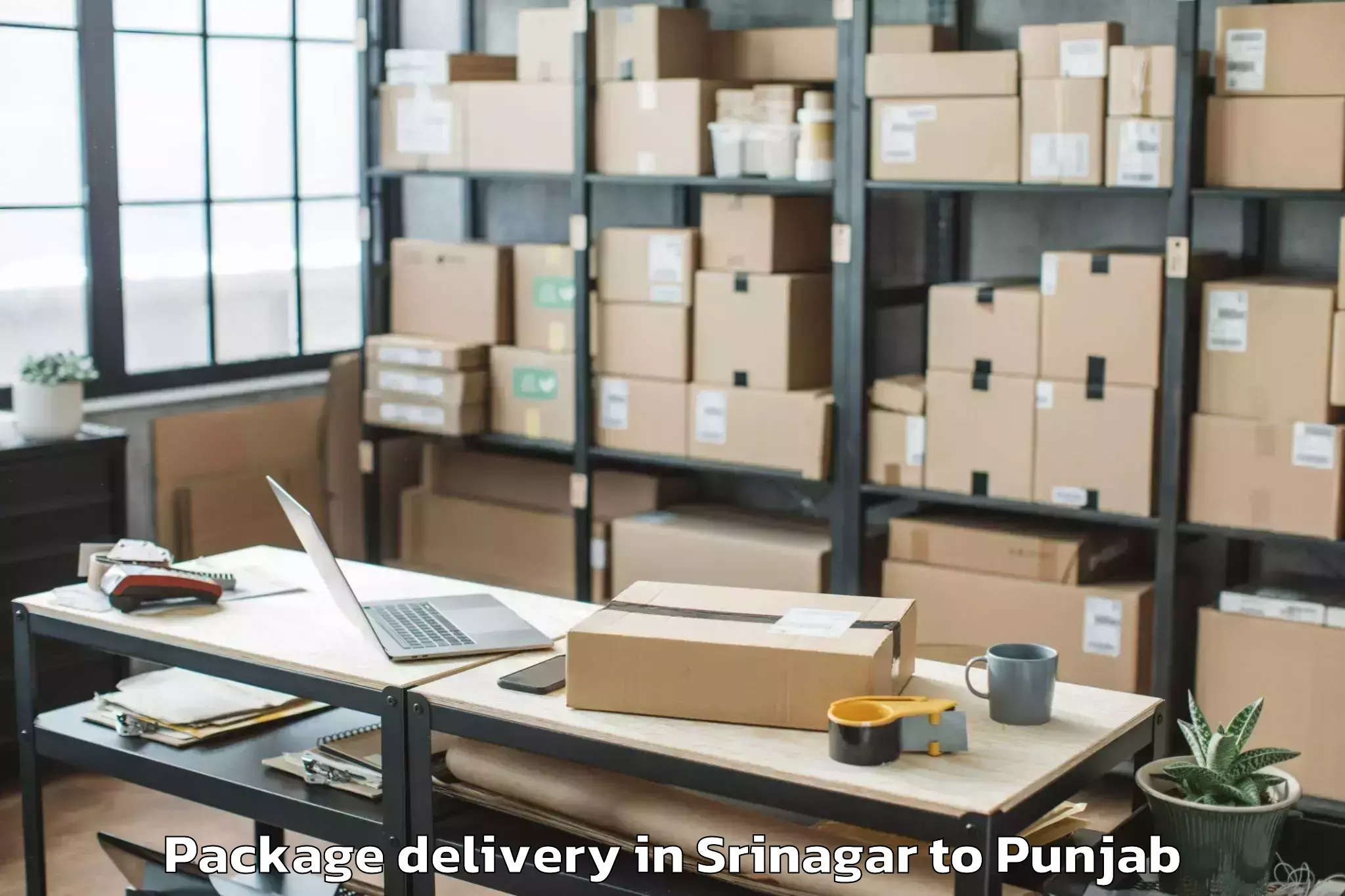 Easy Srinagar to Barnala Package Delivery Booking